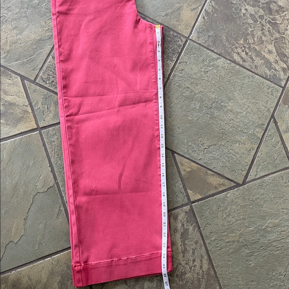 SPANX red/Pink Pants - Picture 4 of 11
